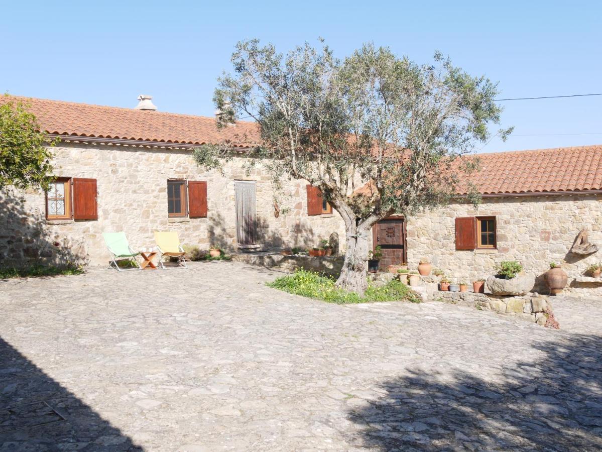 Pines Of Salgado Beachview Villa By Book Yourholiday Pt Nazaré Eksteriør billede