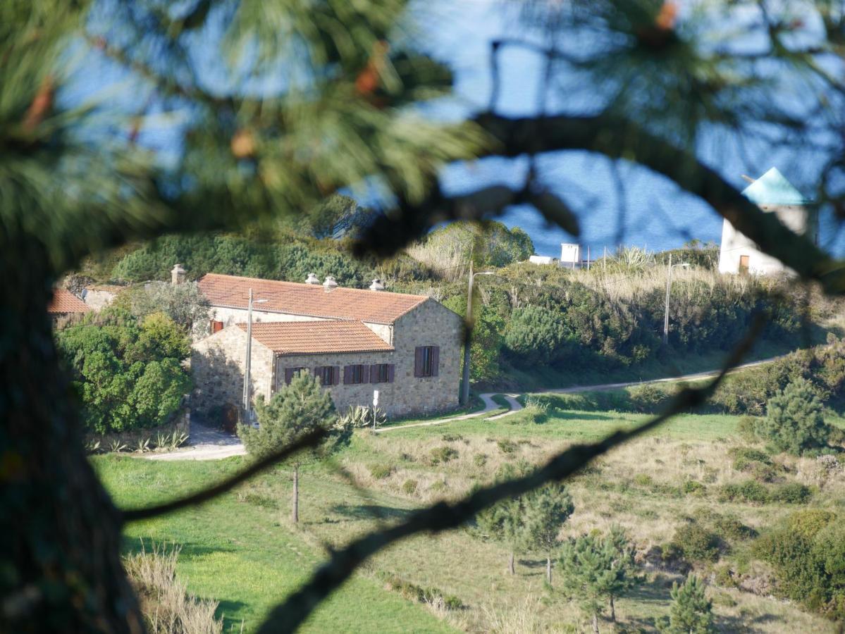 Pines Of Salgado Beachview Villa By Book Yourholiday Pt Nazaré Eksteriør billede