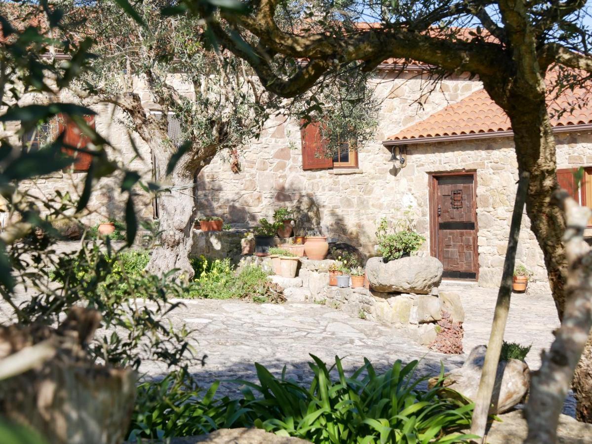 Pines Of Salgado Beachview Villa By Book Yourholiday Pt Nazaré Eksteriør billede
