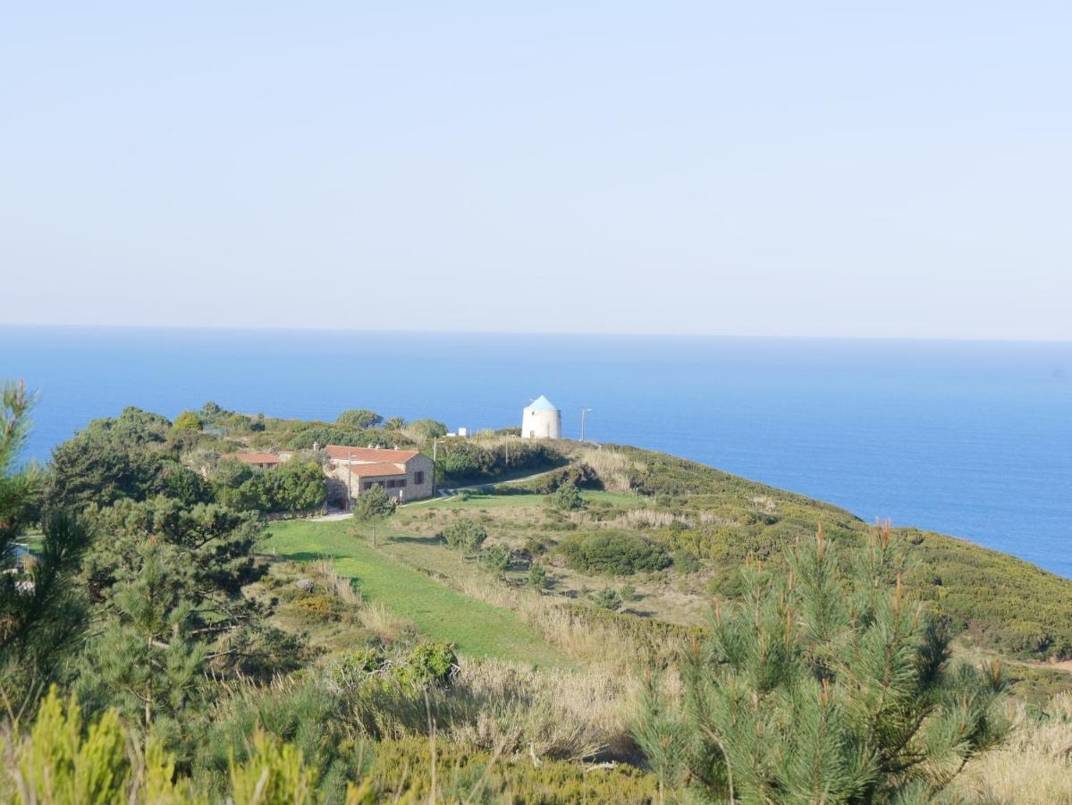 Pines Of Salgado Beachview Villa By Book Yourholiday Pt Nazaré Eksteriør billede